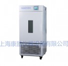 药品稳定试验箱小型250L